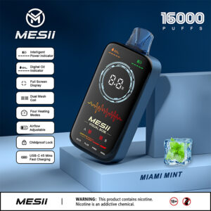MESII Visual Boxx 16K